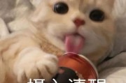 娱乐吃瓜9个段子,揭秘明星幕后故事