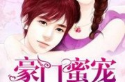 娱乐吃瓜酱妻子小说阅读,妻子背后的爱情故事
